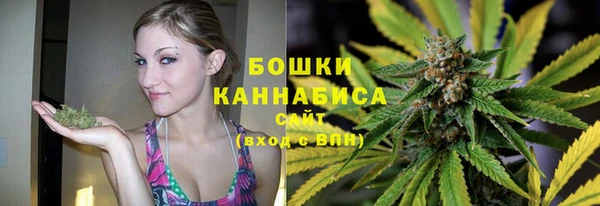 мдпв Горно-Алтайск