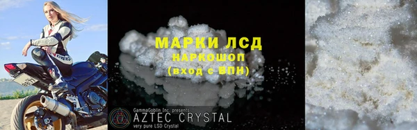 СК Медвежьегорск