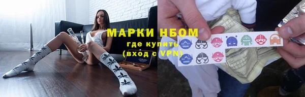 СК Медвежьегорск