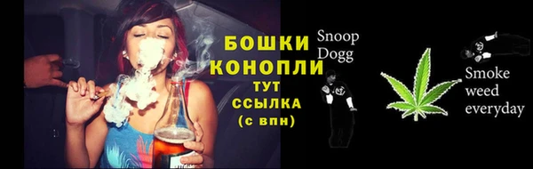 мдпв Мегион