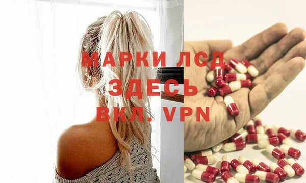 СК Медвежьегорск