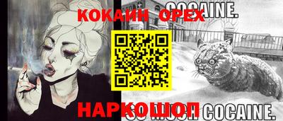 a pvp Гагарин