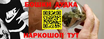 дмт Гатчина