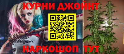 дмт Гатчина