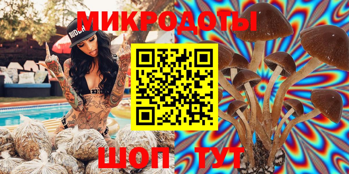 Галлюциногенные грибы Psilocybine cubensis  Южноуральск 