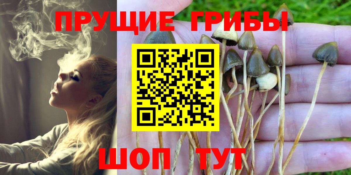 Южноуральск  Галлюциногенные грибы Psilocybe  Вход с VPN  Галлюциногенные грибы ЛСД 
